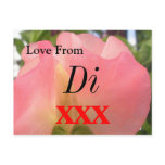 Di Post Card