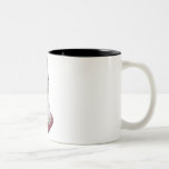 Dia de los Muertos Mug