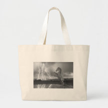 DIA Mustang Bronco Lightning Storm BW Bag
