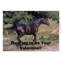 DIADHEMS DAAL, Running to be Your Valentine!! Cards