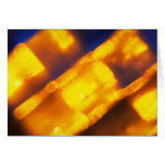 Diagonal gold columns card