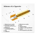 Diagram of a Tobacco Cigarette Smoking Art Photo