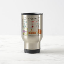 Diagram of Basic Nervous System Functions Coffee Mugs
