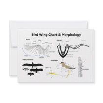 Diagram of the Anatomy of Bird Wings Invitation