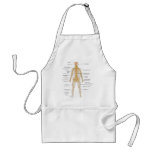 Diagram of the Human Body's Nervous System Apron