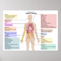 Diagram of the Manifestations of Cystic Fibrosis Print