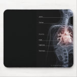 Diagramme de l'appareil respiratoire et du coeur tapis de souris