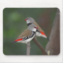 Diamond Firetail mousepads