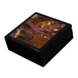 Diamond Focus Jewelry Box