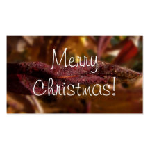 Diamond Focus; Merry Christmas Business Cards