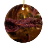 Diamond Focus Ornaments