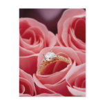 Diamond Ring Roses