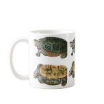 Diamondback Terrapin illustration Coffee Mugs