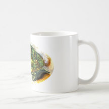 diamondback Terrapin Turtle from JungleWalk.Com Coffee Mugs