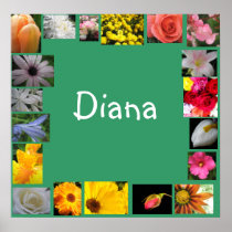 Diana Posters