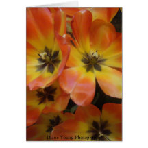 Diane Young Photography Card