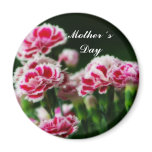 Dianthus  #1 magnets