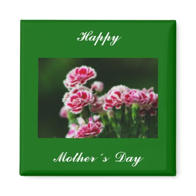 Dianthus  #1 magnets by MarianaEwa