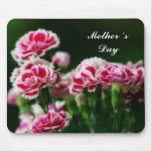Dianthus  #1 mousepad