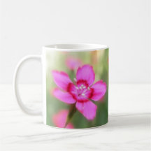 Dianthus Deltoides Flowers  - Close Up Coffee Mug