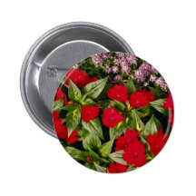 Dianthus flowers flowers pins