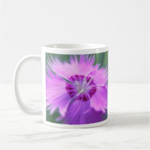 Dianthus gratianopolitanus - Cheddar Pink Mugs