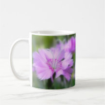 Dianthus Plumarius Flower Coffee Mugs