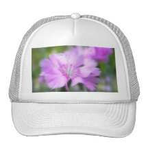 Dianthus Plumarius Flower Hats