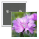 Dianthus Plumarius Flower Pin