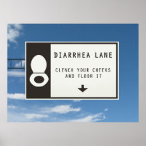 DIARRHEA LANE poster