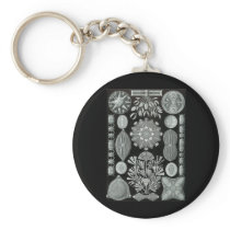 Diatoms Keychain