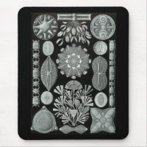 Diatoms Mouse Pads