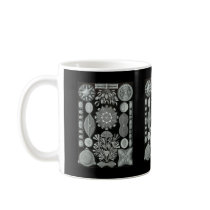 Diatoms Mugs