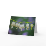 Dicentra Greeting Card