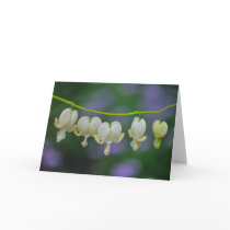Dicentra Greeting Card
