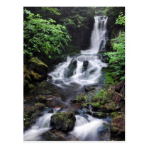 Dickson Falls Fundy Park New Brunswick Postcard postcards