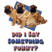 Did I say something funny Acrylic Cut Outs