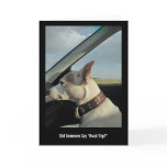 Did Someone Say "Road Trip?" Greeting Cards