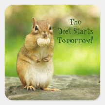 Diet Starts Tomorrow Chipmunk Square Stickers