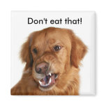 Dieter's magnet