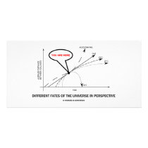Different Fates Of The Universe In Perspective