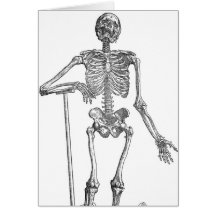 Digging Skeleton Illustration Greeting Cards