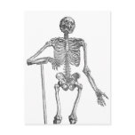 Digging Skeleton Illustration Post Card
