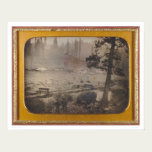 Diggings at Grizzly Flat, El Dorado Co.  (40070) posters