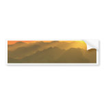 Digital Art bumper stickers