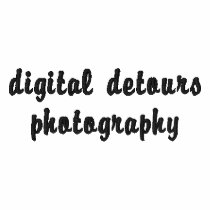 digital detours polo