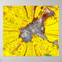 Digital Explosion Print