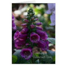 Digitale Valentine Carte