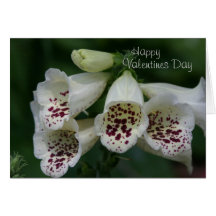 Digitale Valentine Cartes De Vœux