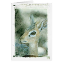 Dik Dik Card